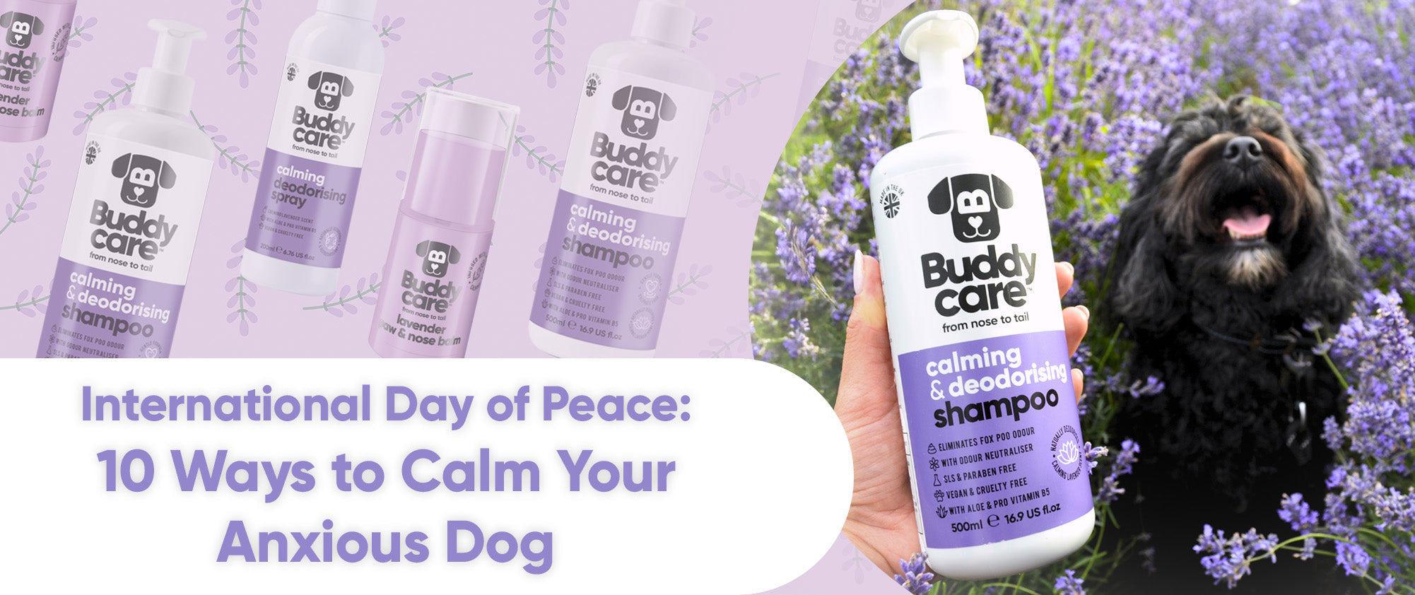 International Day of Peace: 10 Ways to Calm Your Anxious Dog 🪻
