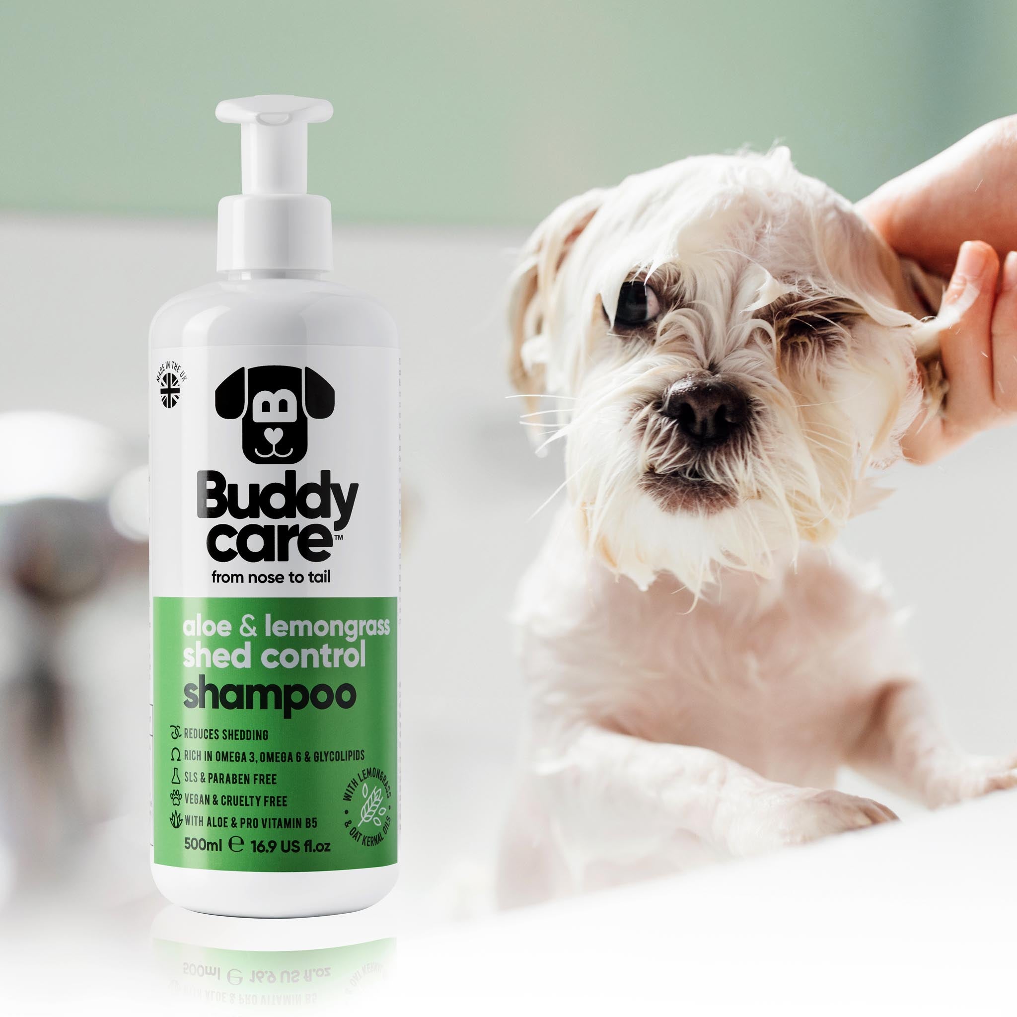 Shed Control Aloe & Lemongrass Dog Shampoo by Buddycare