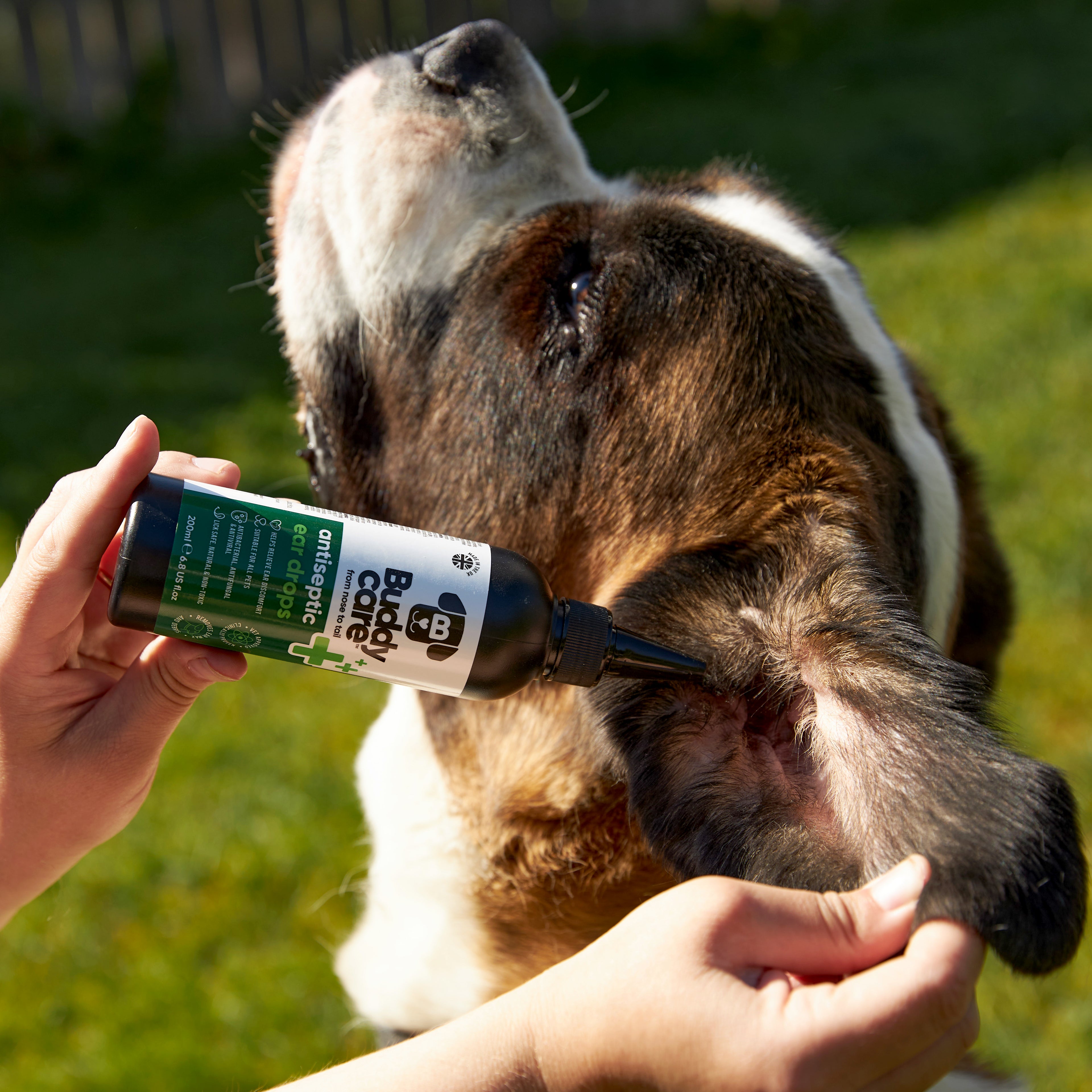 Pet Antiseptic Ear Drops by Buddycare