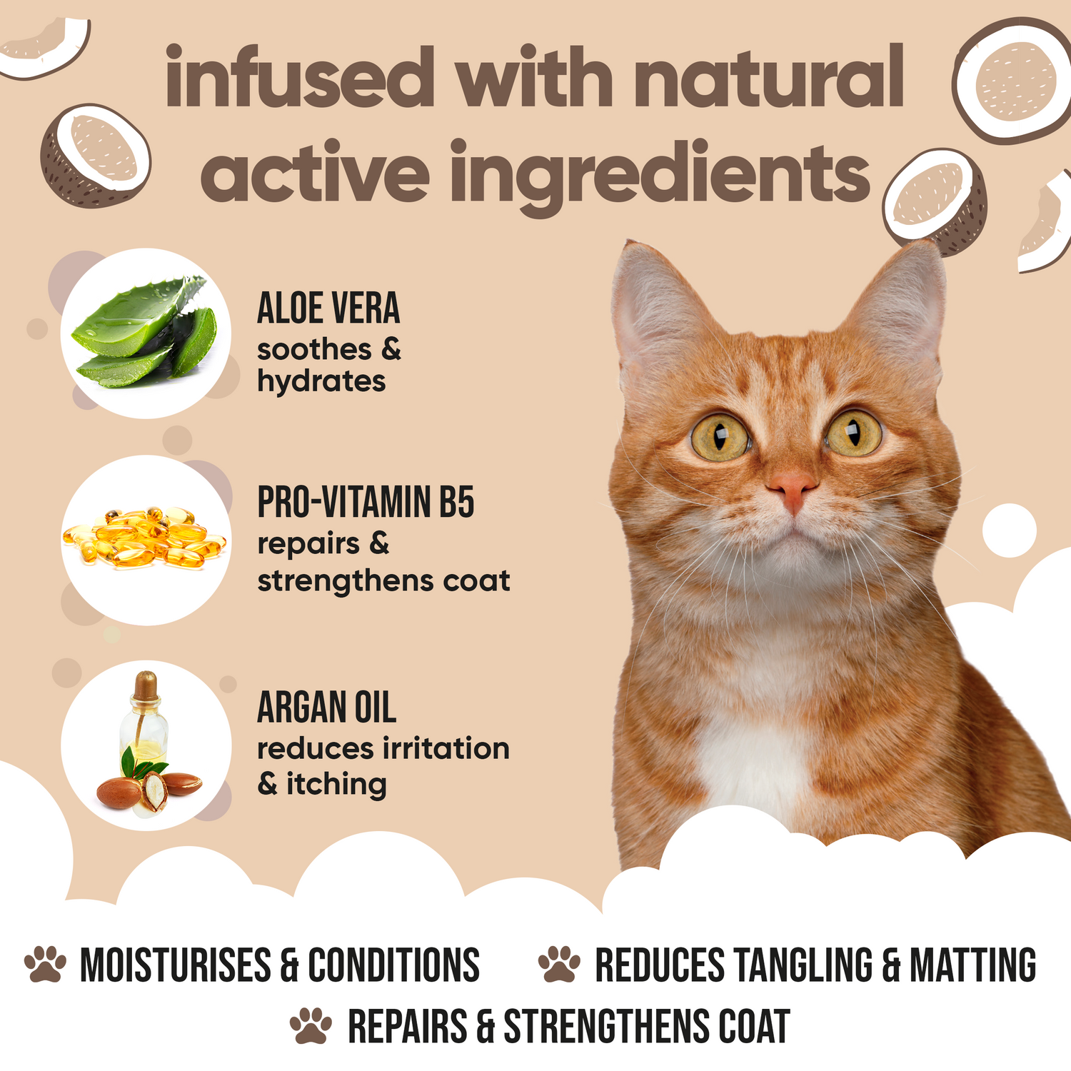 Coconut Cat Conditioner by Buddycare