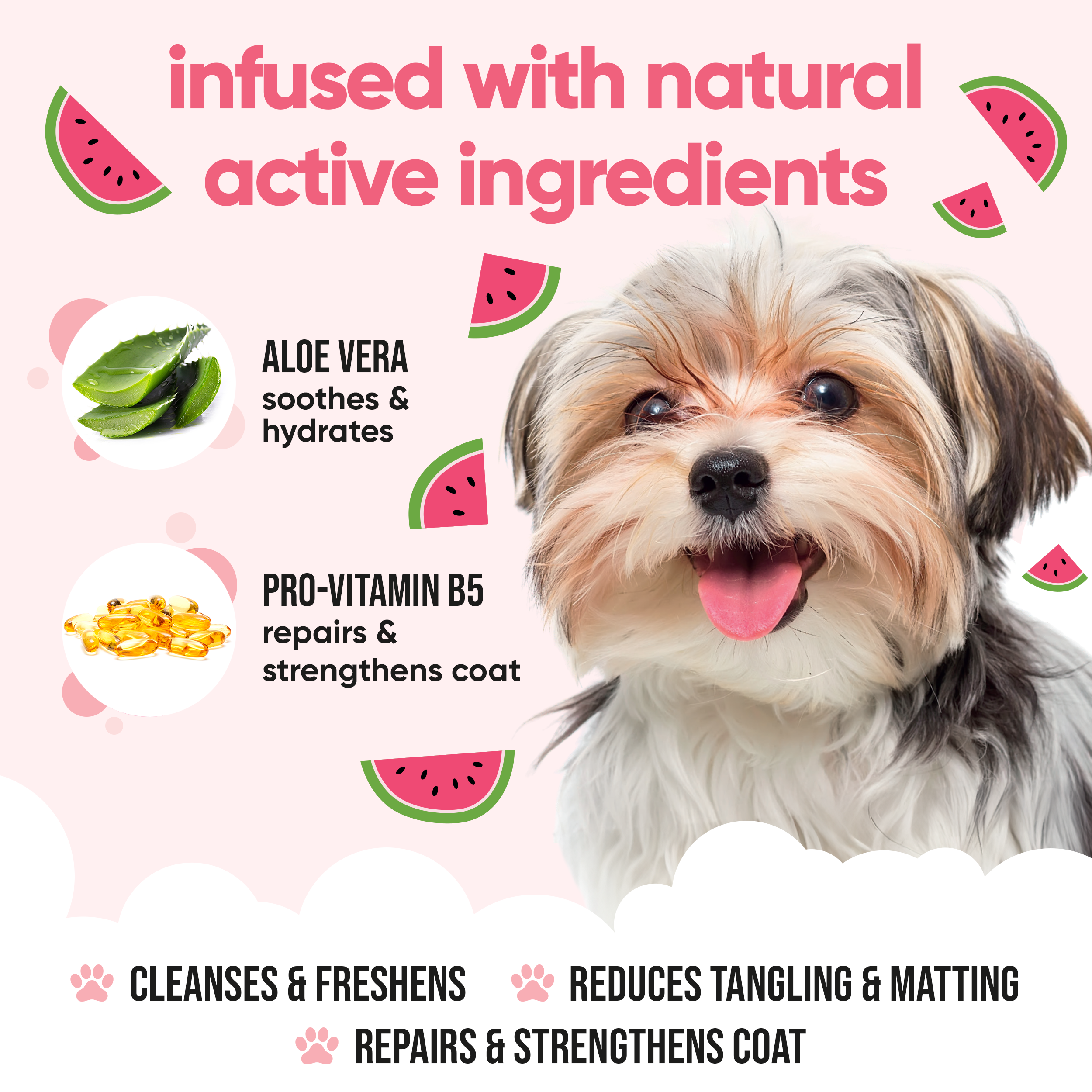 Watermelon Dog Shampoo by Buddycare