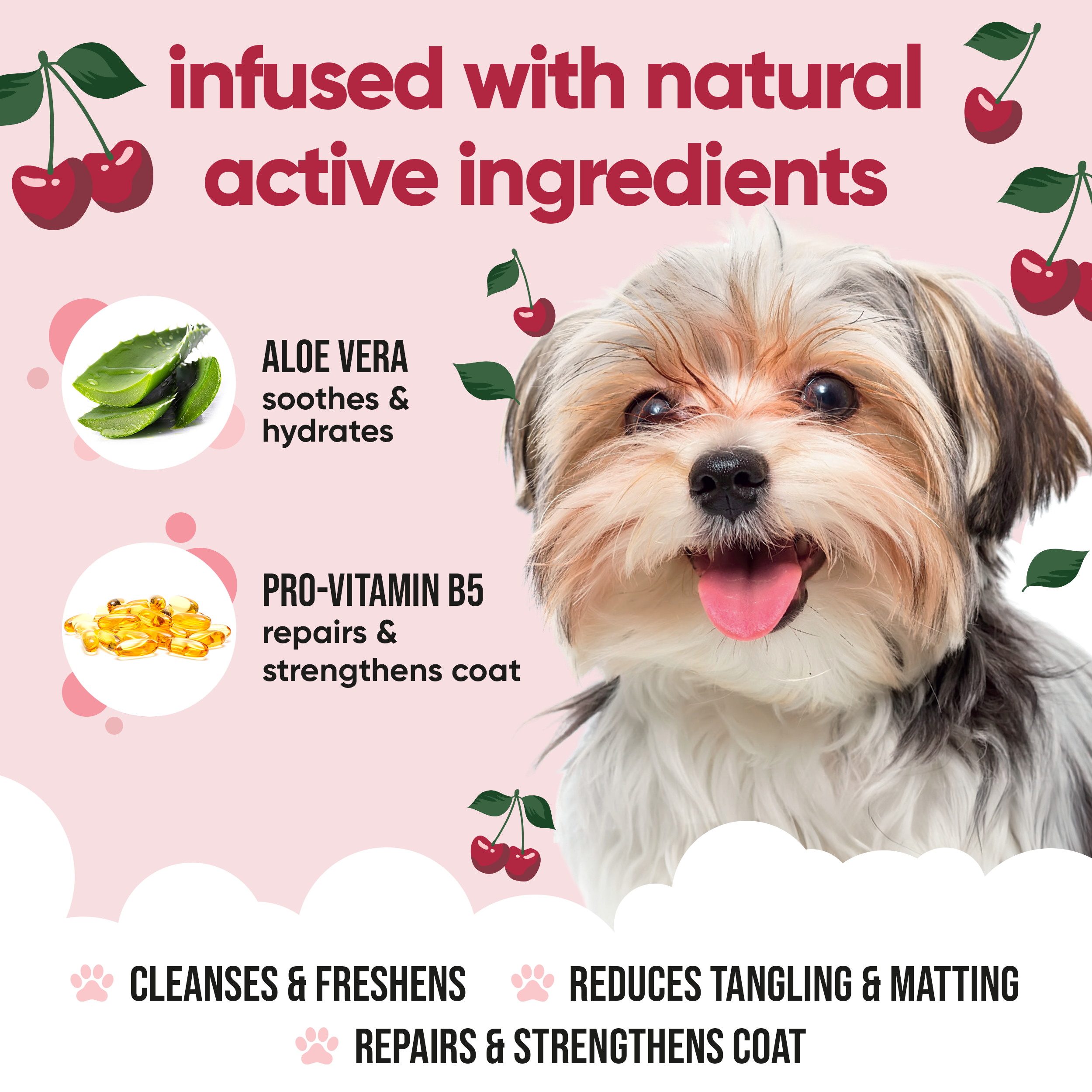Black Cherry Dog Shampoo by Buddycare