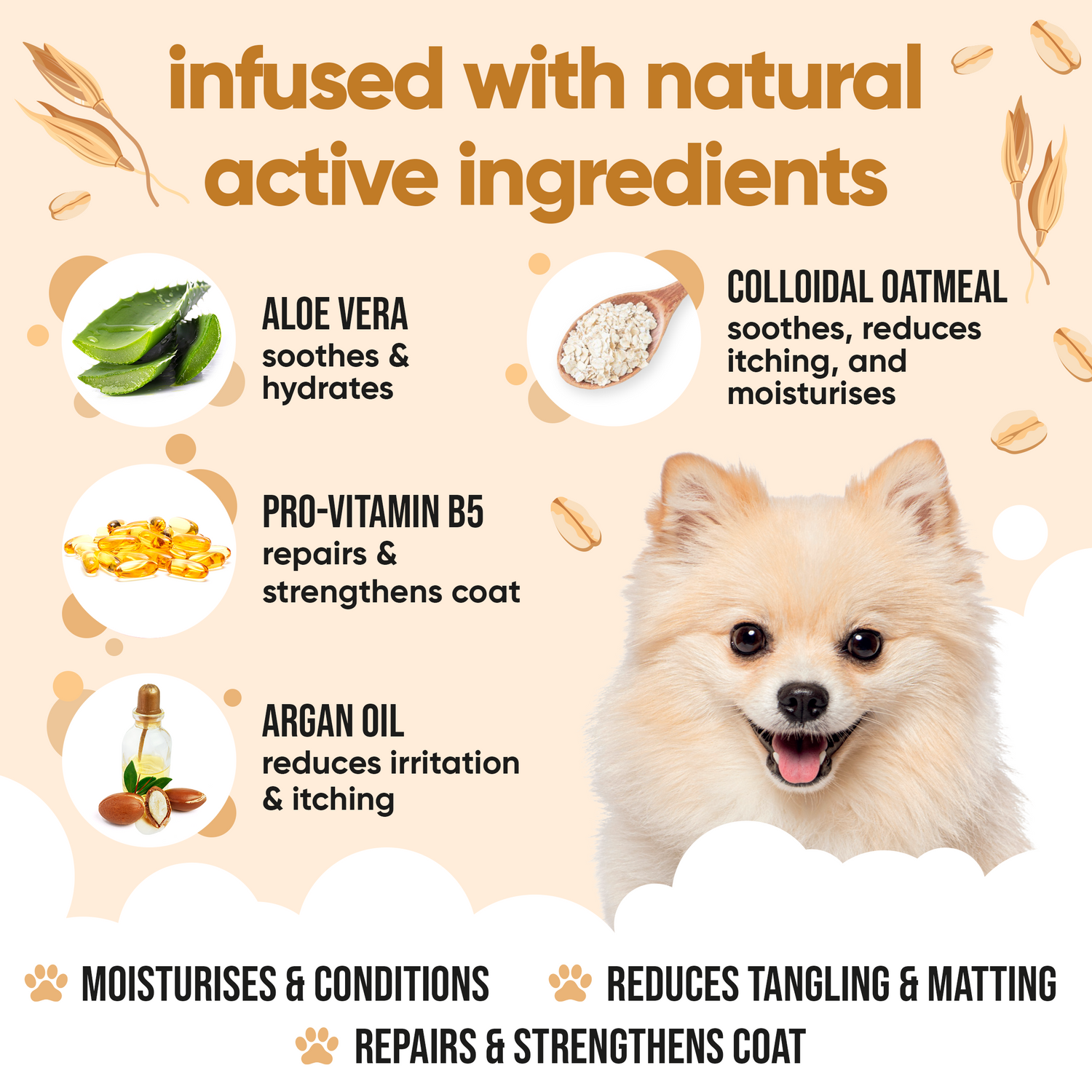 Oatmeal Dog Conditioner by Buddycare
