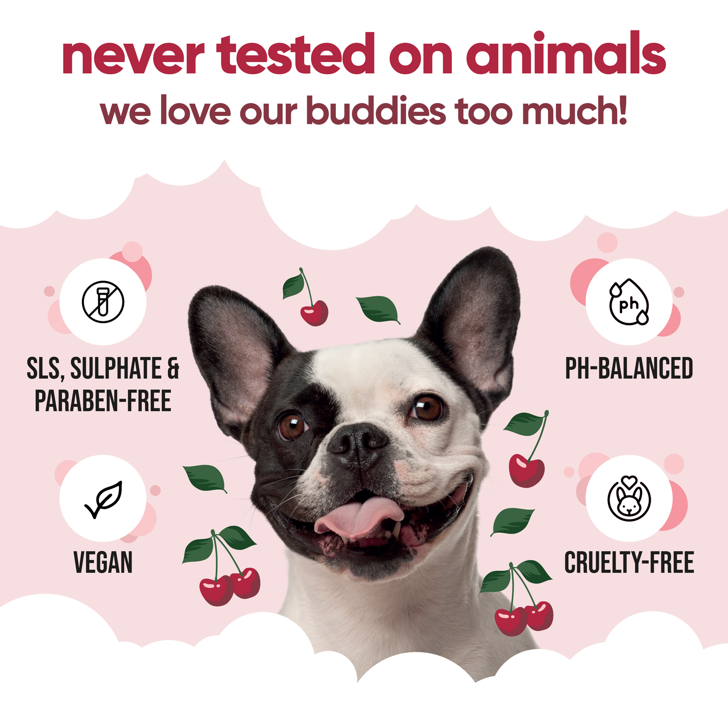 Black Cherry Dog Conditioner by Buddycare