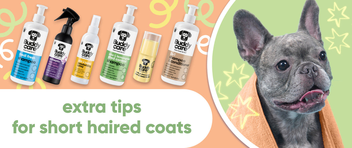 Short-Haired Dog Grooming Essentials 🐾
