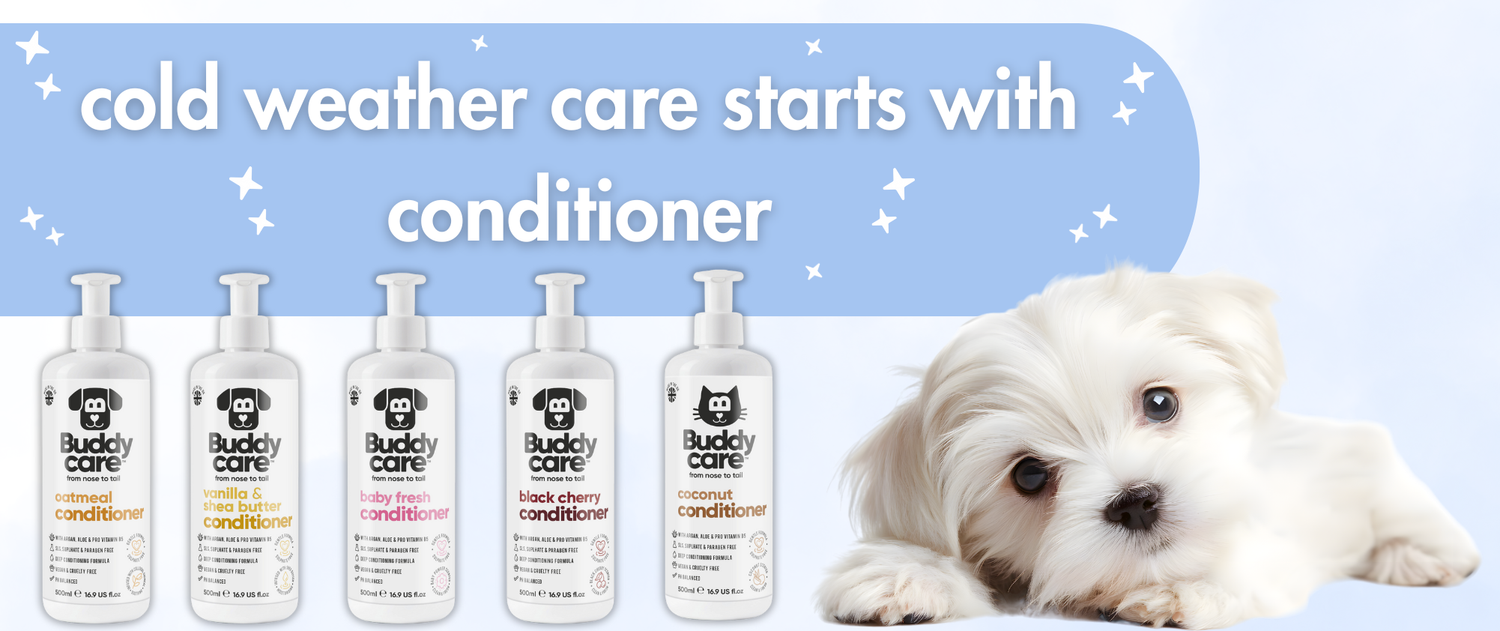 Five bottles of Buddy Care dog conditioner are lined up next to a white fluffy dog; text above reads, "cold weather care starts with conditioner" on a blue background with stars.