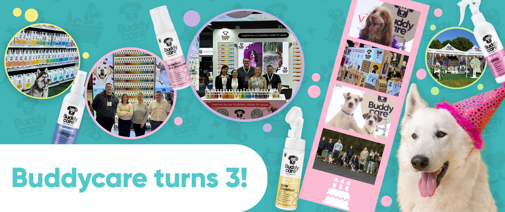 BUDDYCARE TURNS 3! 🎉 🐾