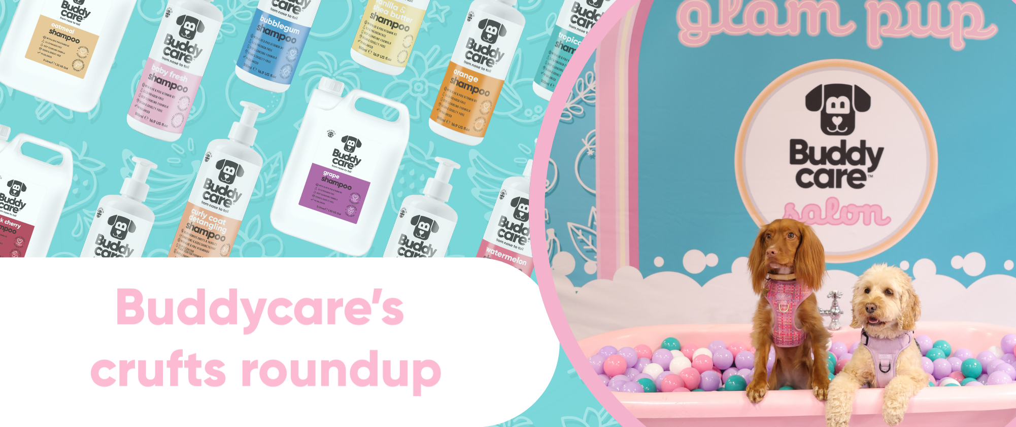 CRUFTS 2026 ROUNDUP 🐶 🎉