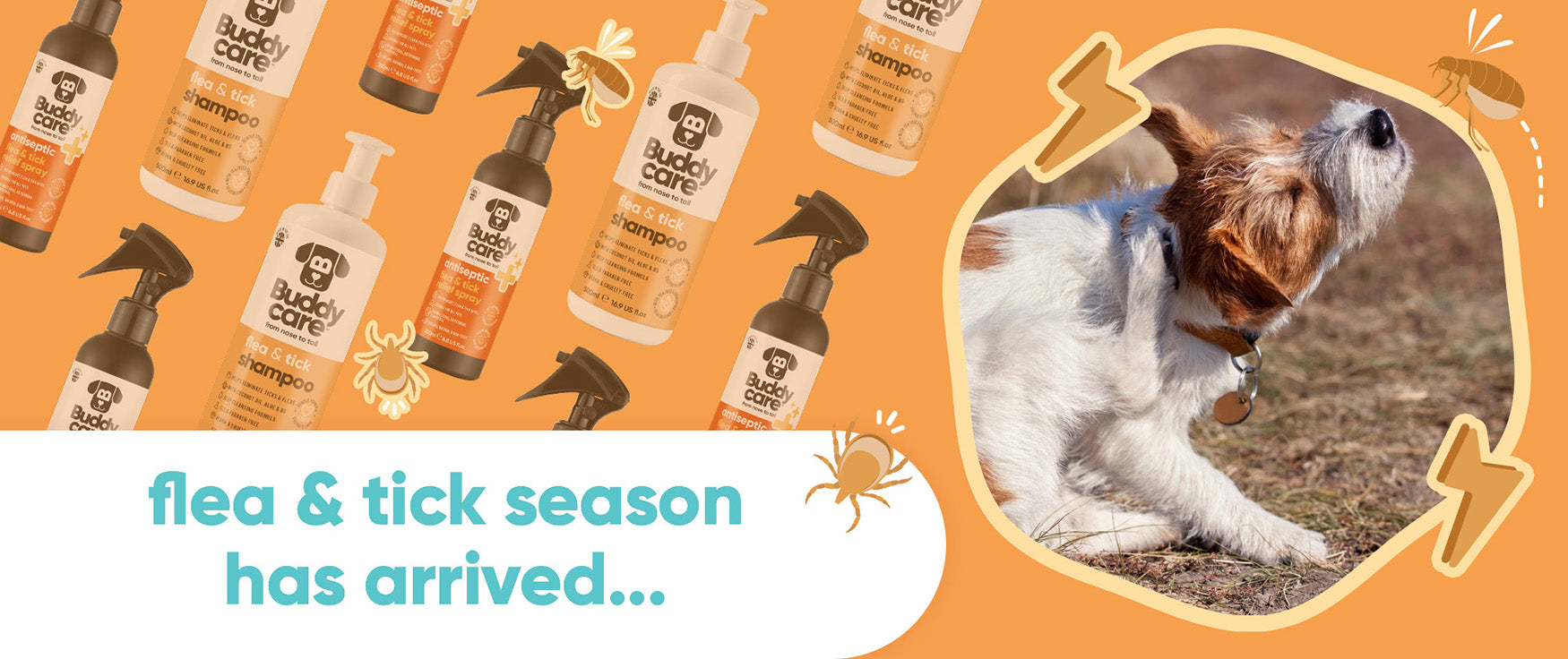 Flea & Tick Season Has Arrived - Are Your Pets Protected? 🪳🐾