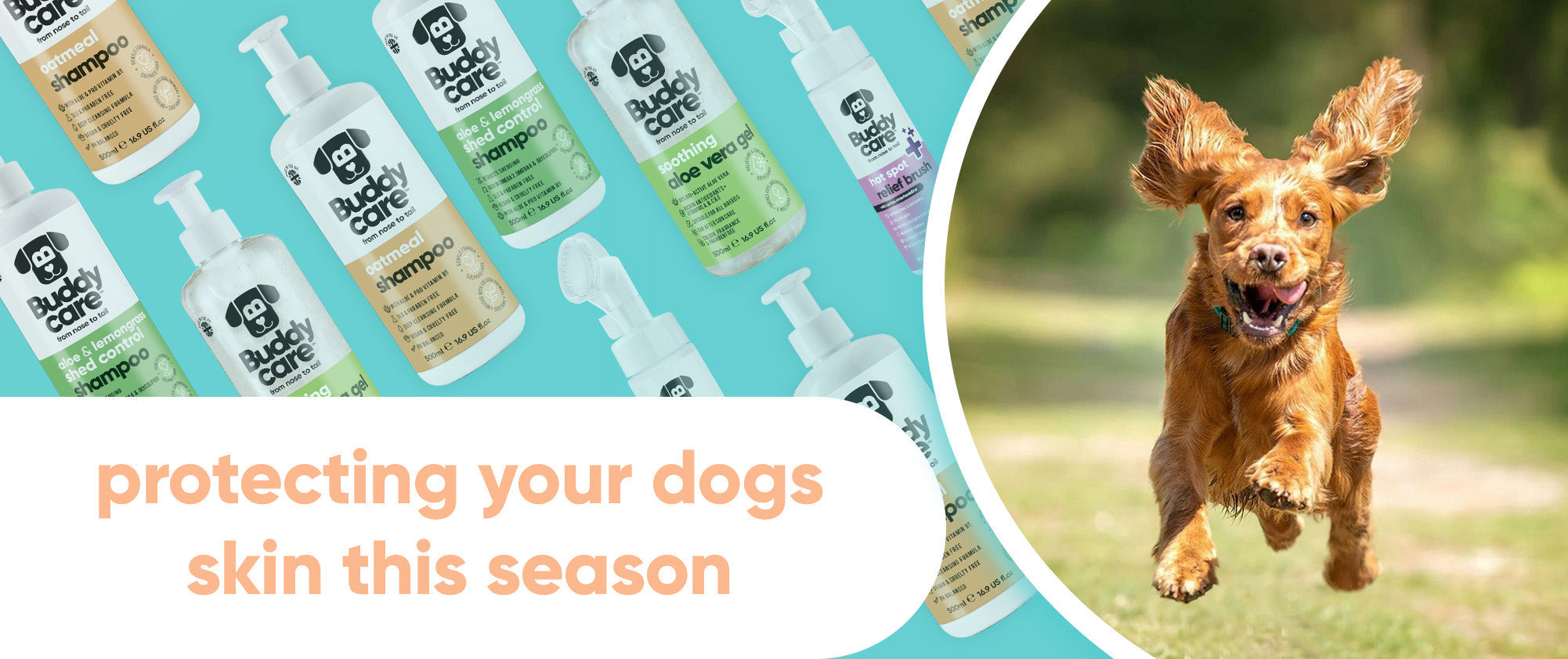 Protecting Your Dog's Skin This Season 🐾☀️