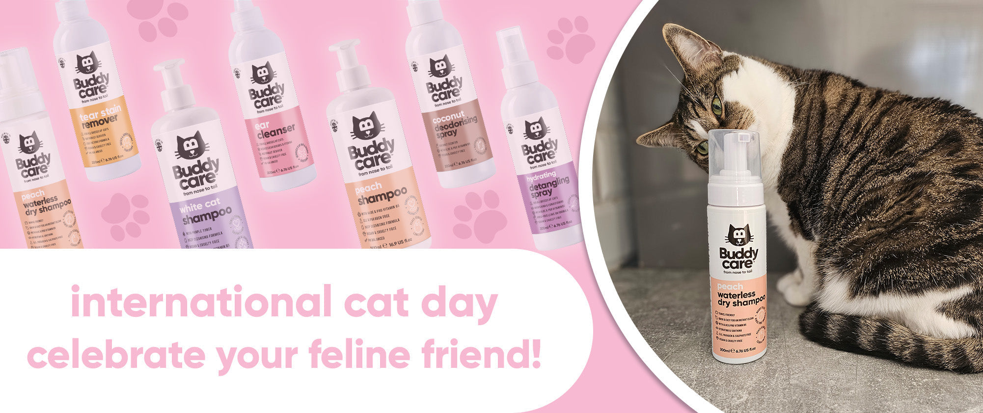 International Cat Day: Explore Our Cat Range! 🐱