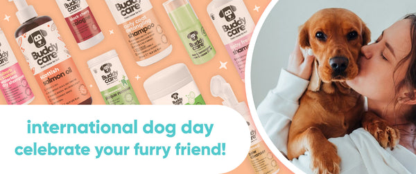 International Dog Day 🐶 💕 Celebrating Our Four-Legged Best Friends