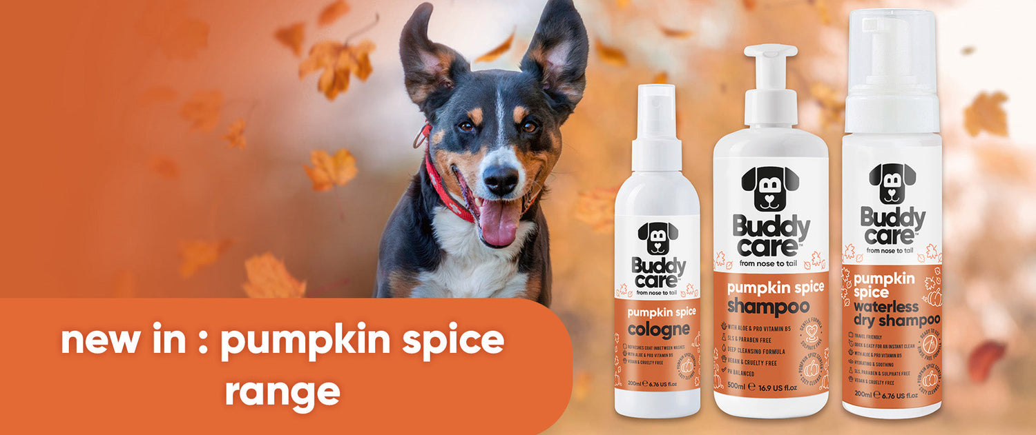 NEW BUDDYCARE LAUNCH: Our Pumpkin Spice Range 🎃 🍂