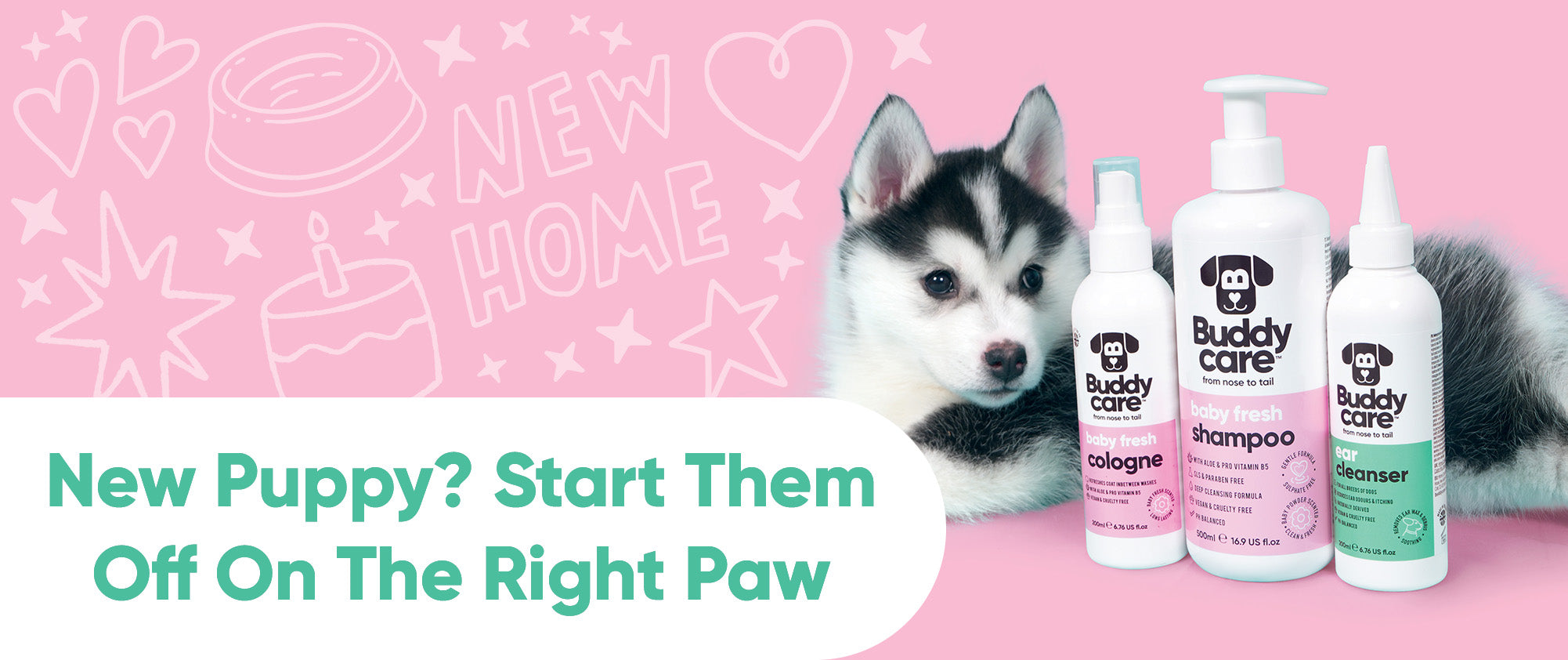 New Puppy? Start Them Off On The Right Paw 🐶💜
