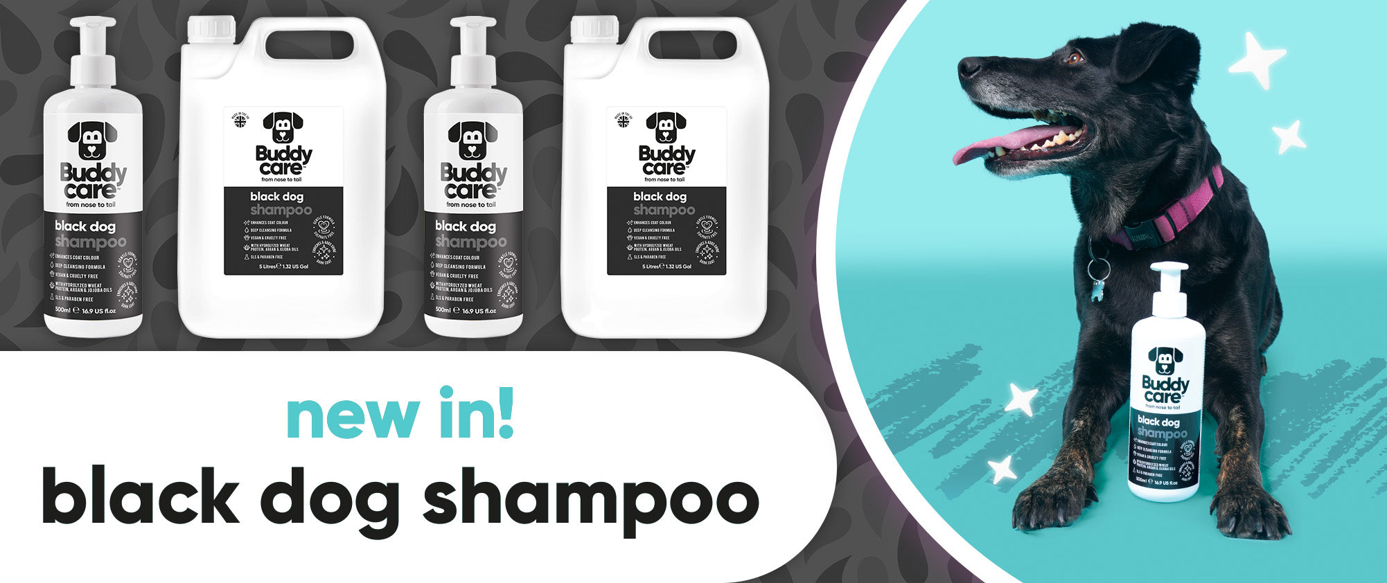 NEW PRODUCT LAUNCH: Black Dog Shampoo 🐶🖤