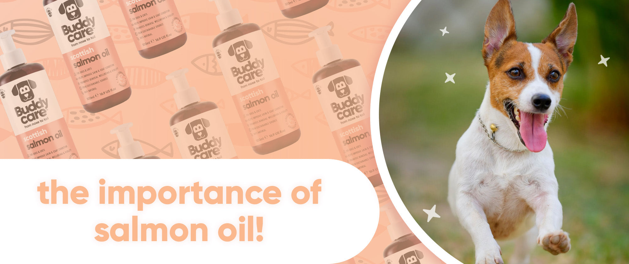 The Importance of Salmon Oil For Your Pets 🐟🧡
