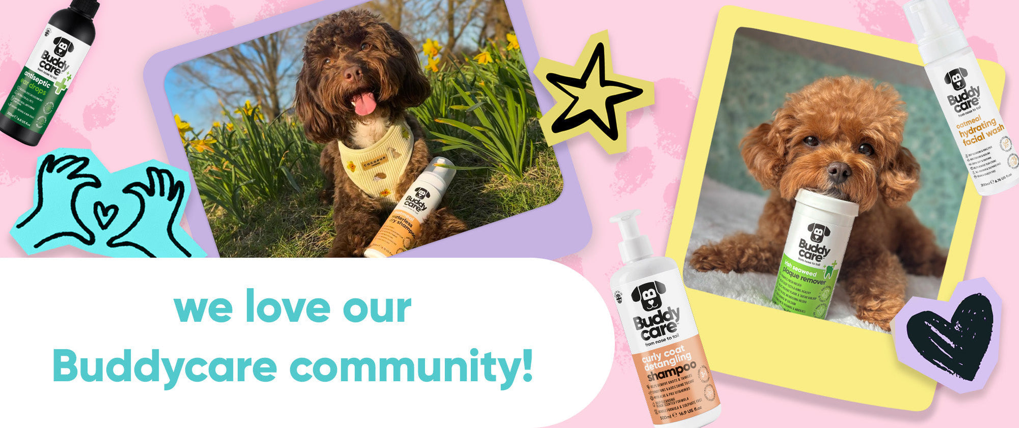 We Love Our Buddycare Community 🐶🐾