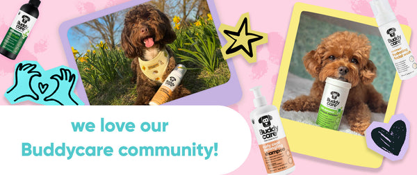 We Love Our Buddycare Community 🐶🐾