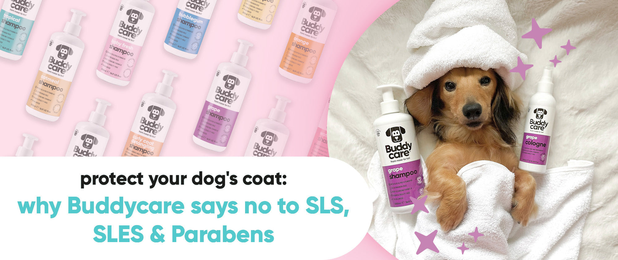 Protect Your Dog's Coat: Why Buddycare Says No to SLS, SLES & Parabens 🔬🥼