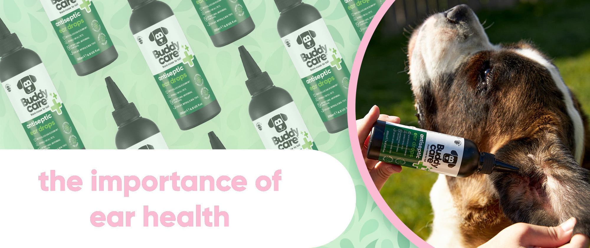 Keep Your Pup's Ears Healthy & Happy: The Importance of Ear Cleansing! 🐶💚