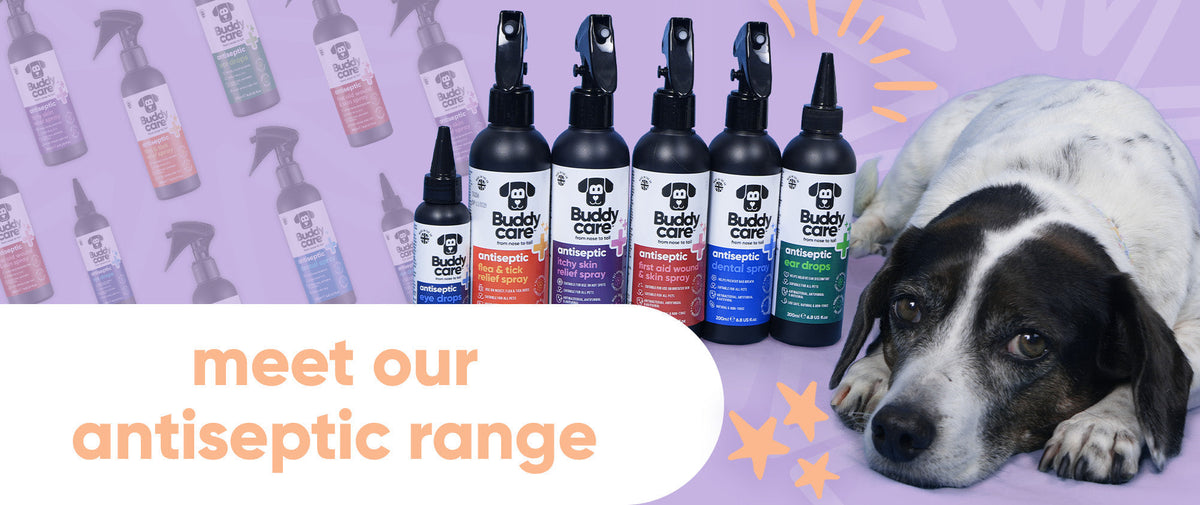 Meet Our Pet Antiseptic Range! 🐶🐱💜