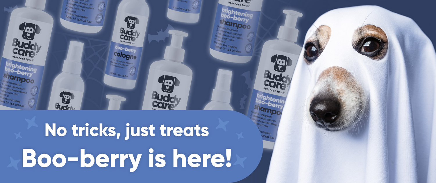 Trick or Treat? It's Boo-berry Time! 👻