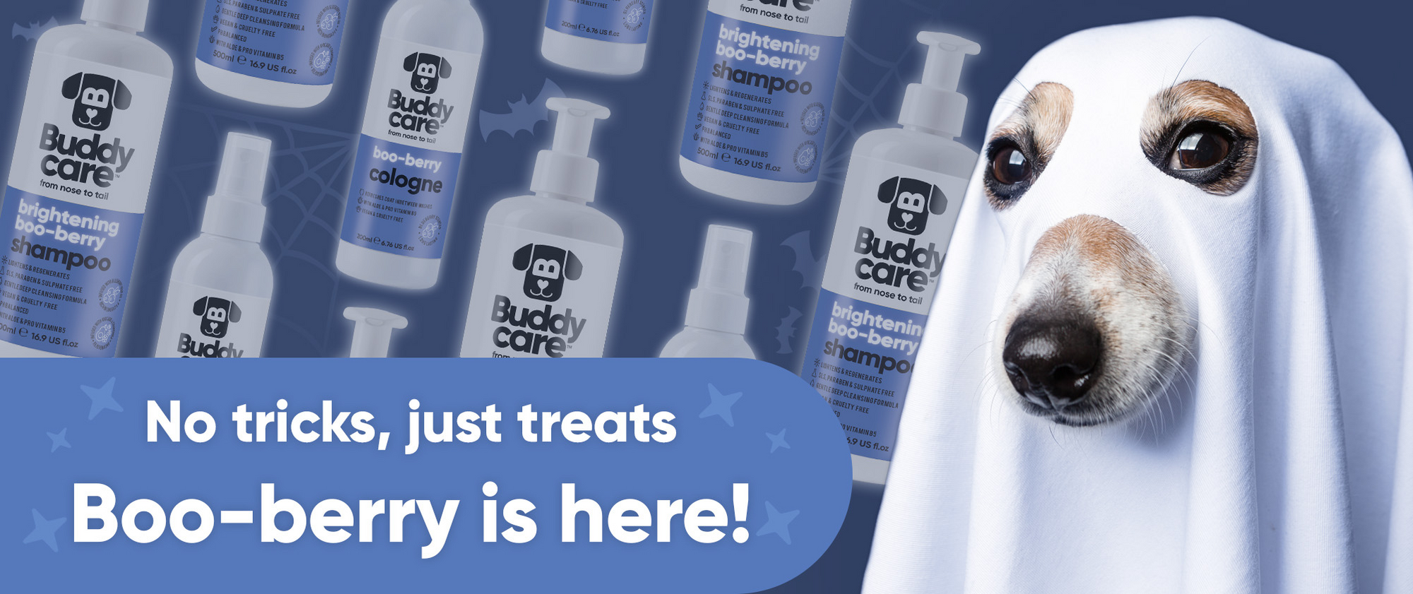 Trick or Treat? It's Boo-berry Time! 👻