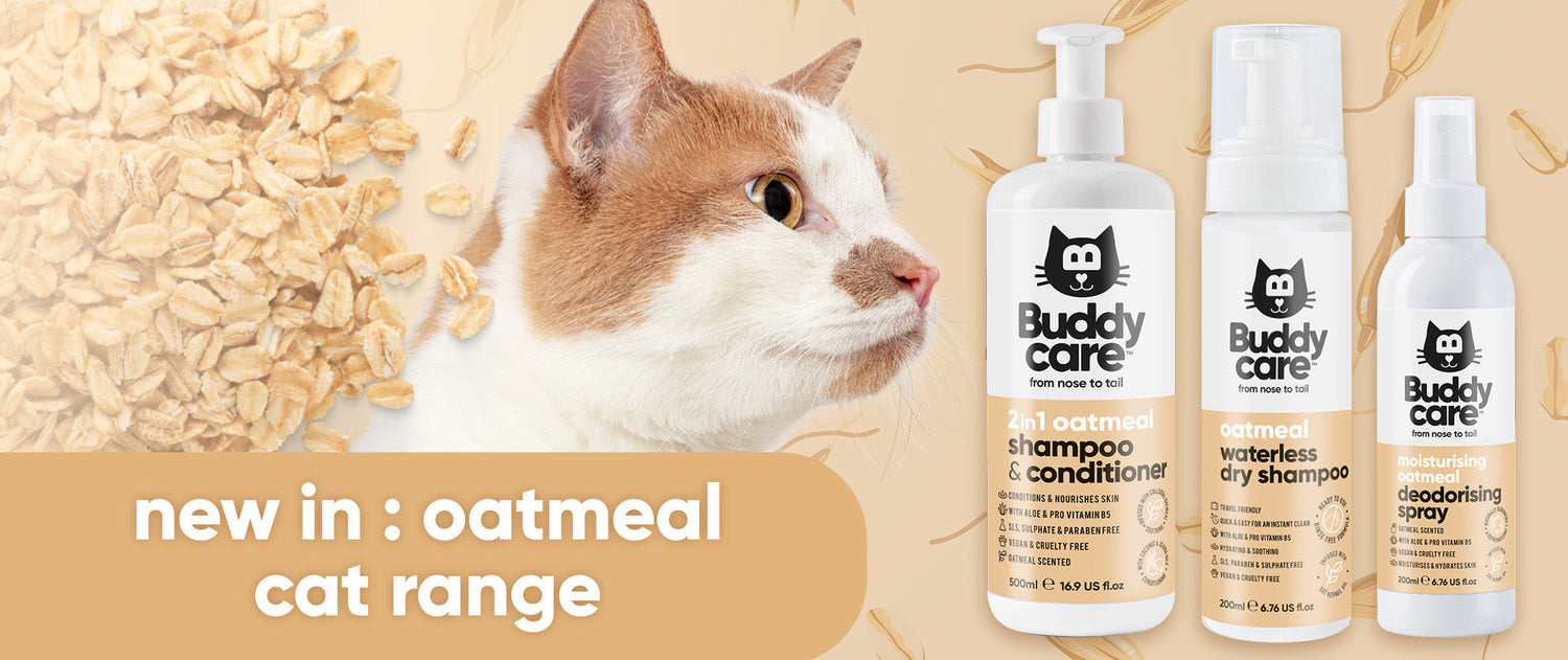 Introducing Our New Nourishing Oatmeal Cat Range 🐱🌾