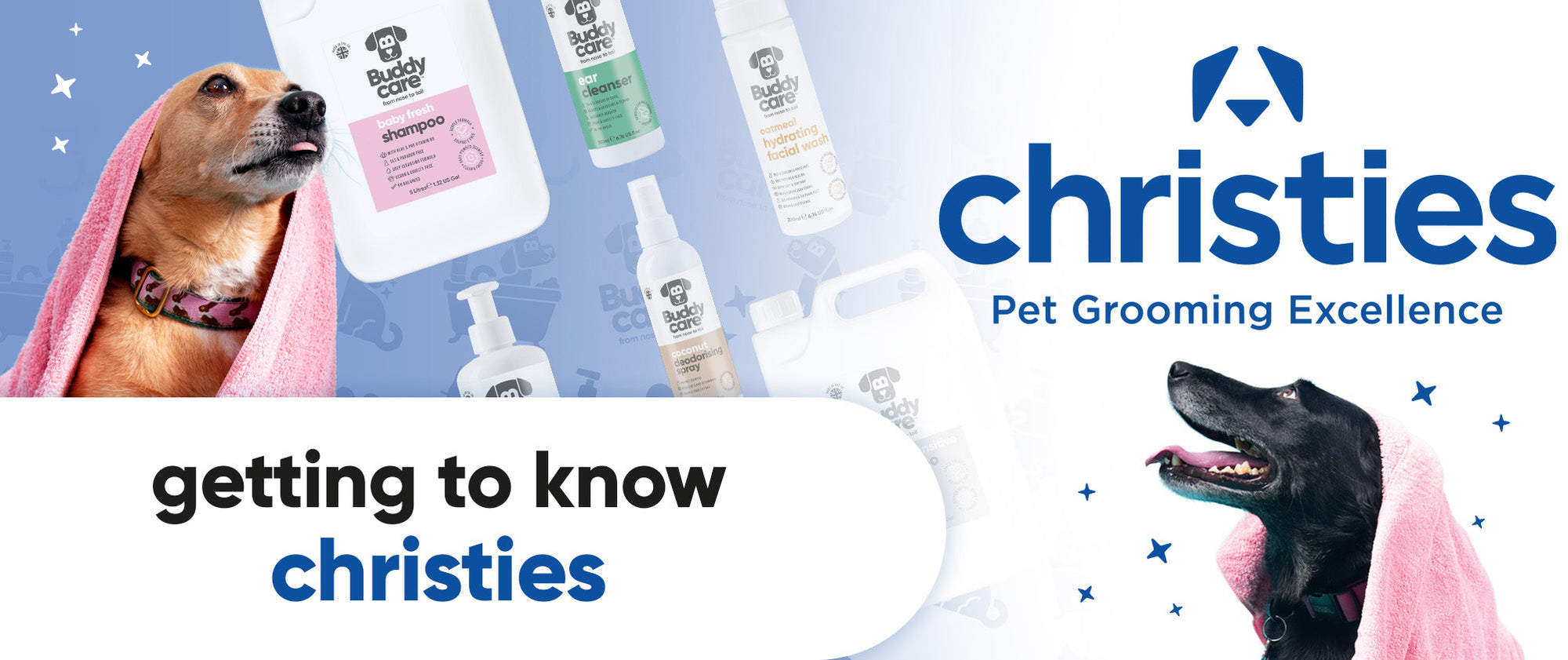 Buddycare x Christies: Getting to Know Our New Partner 🐶