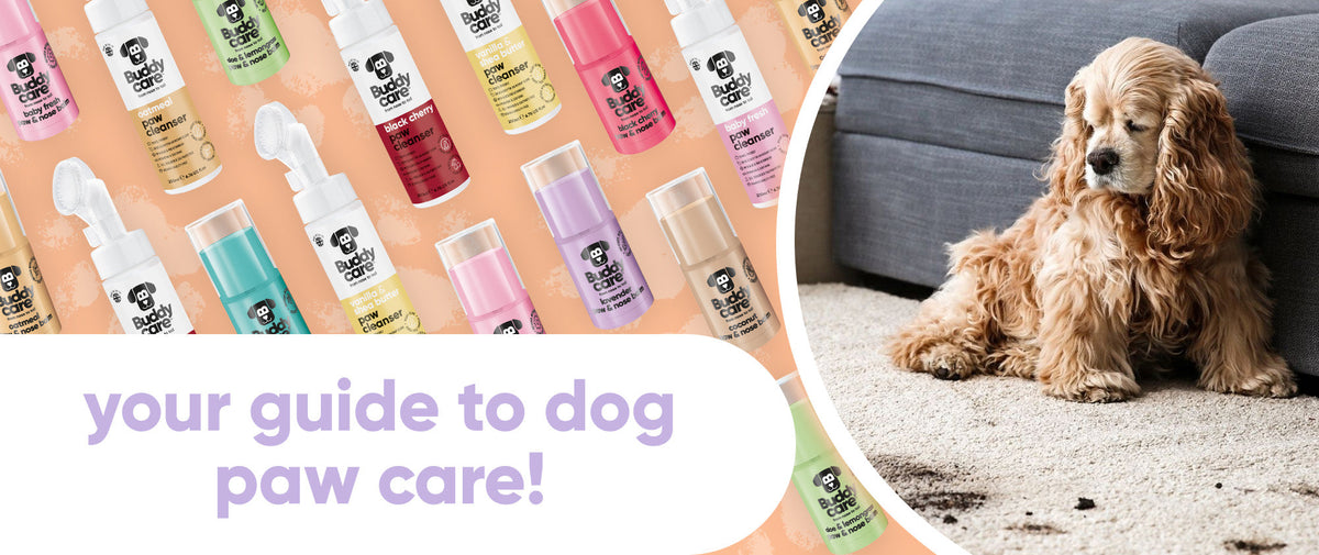 Mud Happens! How to Tackle Those Muddy Paws 🐶🐾