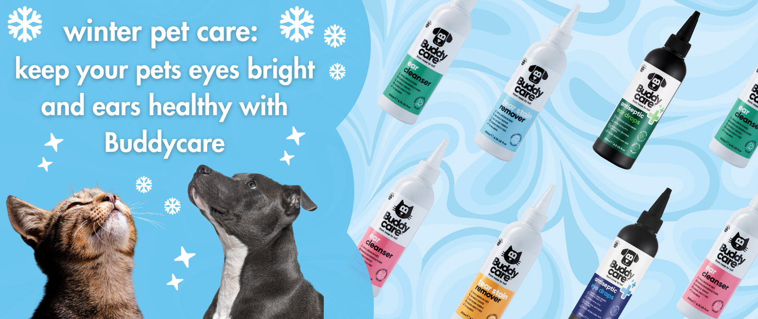 Winter Pet Care Tips | Eyes & Ears ❄️🐶
