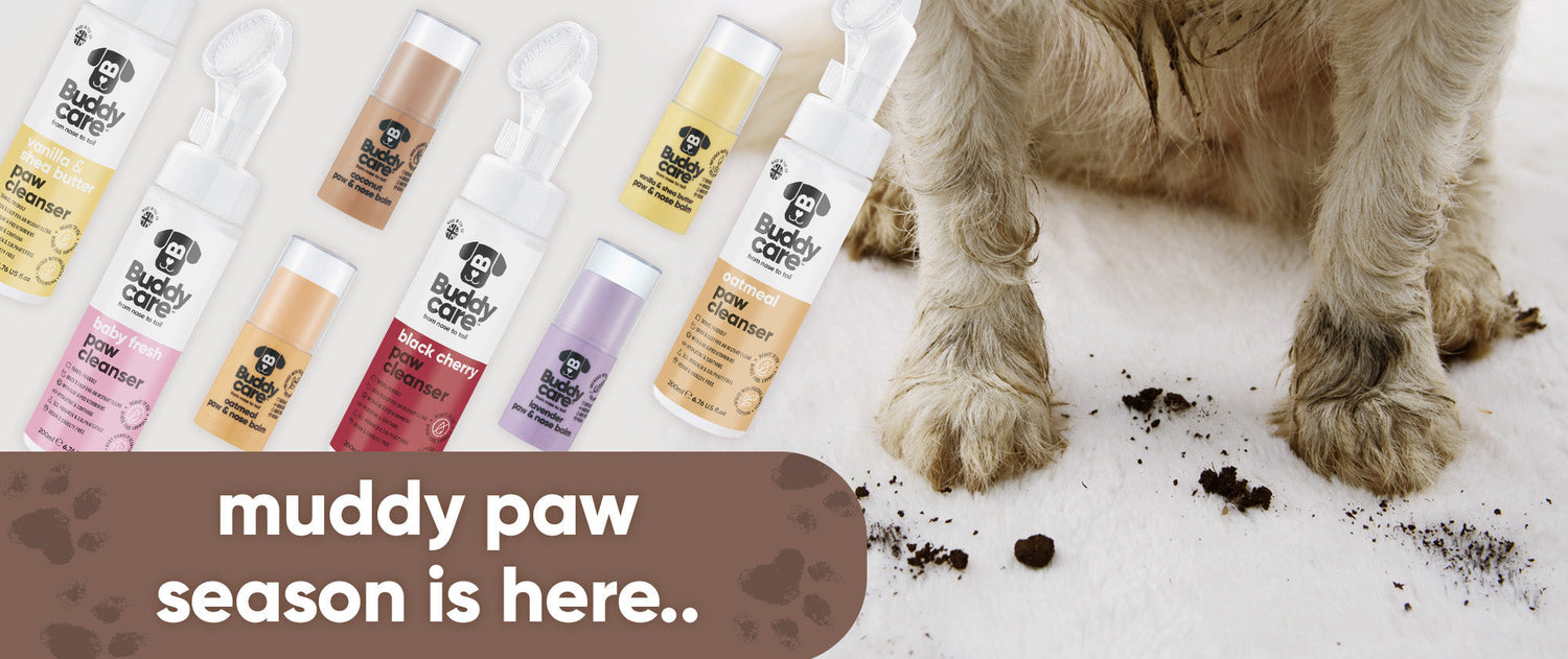 Buddycare muddy paw season banner featuring paw cleansers and balms for dogs with dirty paws on a white rug - perfect for keeping paws clean and protected during wet, muddy weather.