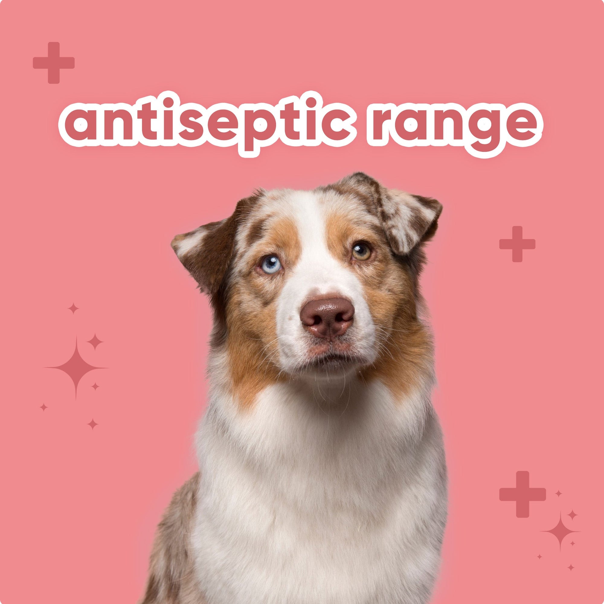 Antiseptic Range
