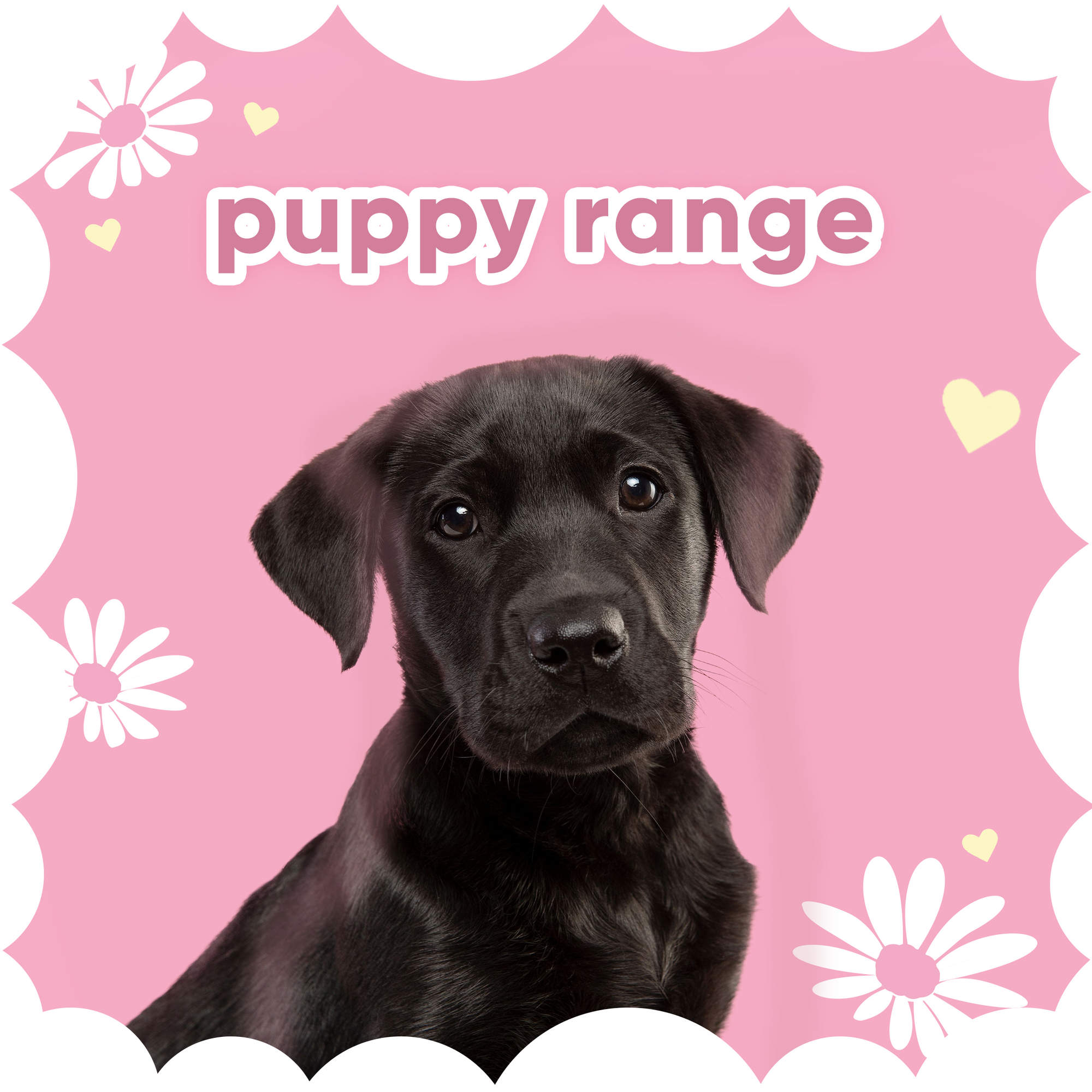 Puppy Pack