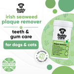 Irish Seaweed Plaque Remover