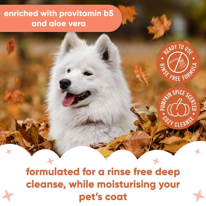 Pumpkin Spice Waterless Dry Dog Shampoo