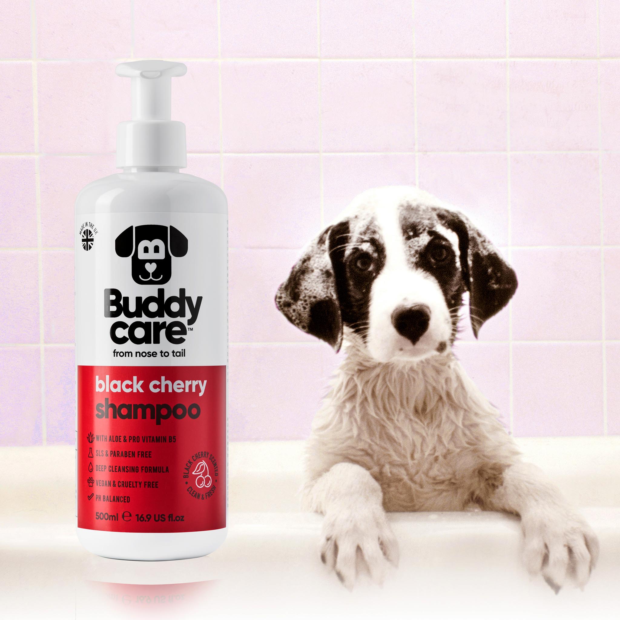 Black Cherry Dog Shampoo by Buddycare