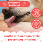 Chlorhexidine Medicated Wipes