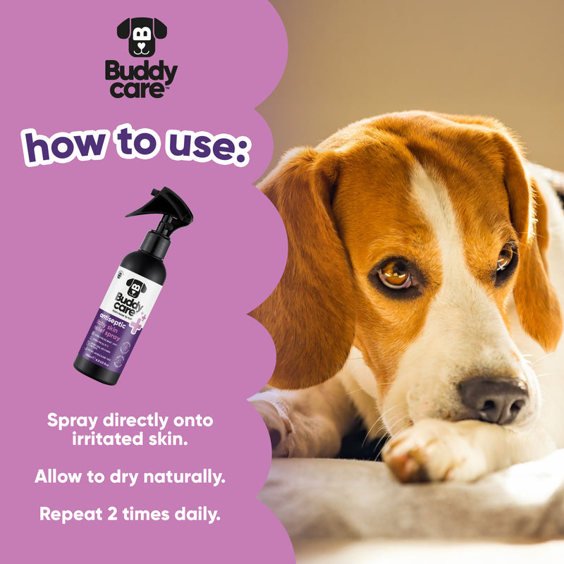 Pet Antiseptic Itchy Skin Relief Spray