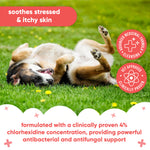Pet Antiseptic Chlorhexidine Medicated Shampoo
