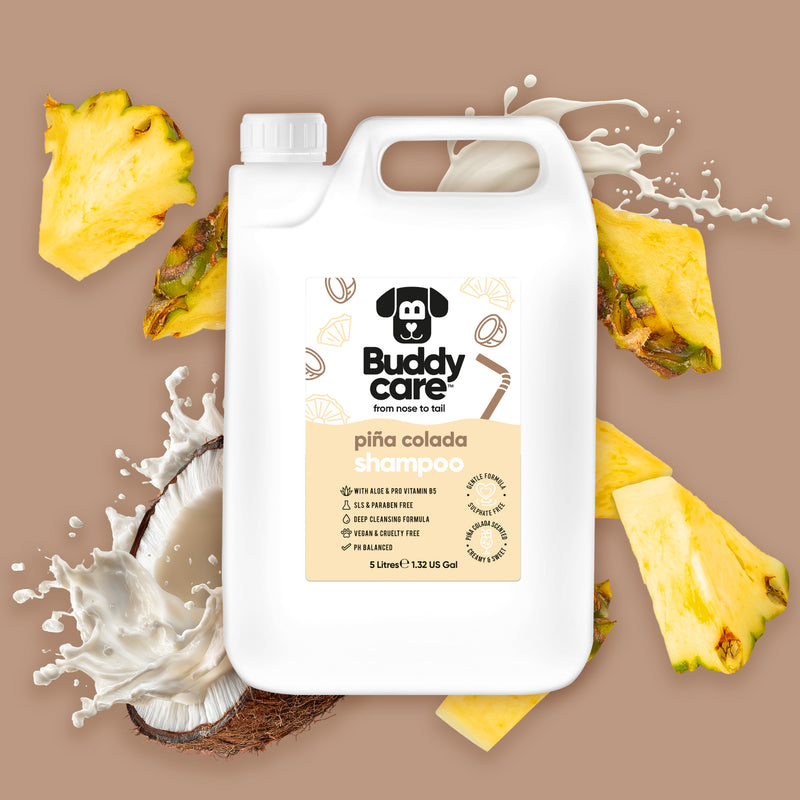 Pina Colada Dog Shampoo