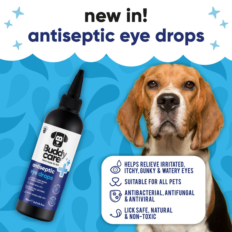Pet Antiseptic Eye Drops