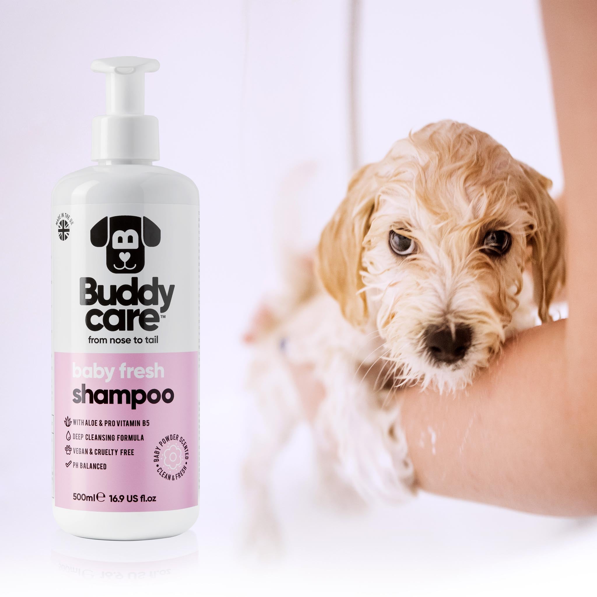 Baby Fresh Dog Shampoo by Buddycare