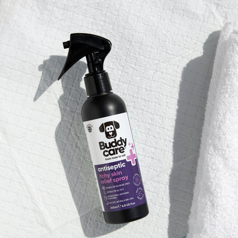 Pet Antiseptic Itchy Skin Relief Spray by Buddycare