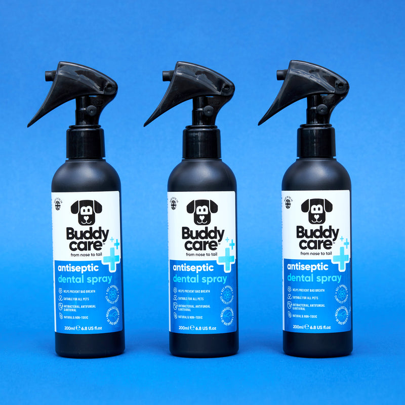 Pet Antiseptic Dental Spray by Buddycare