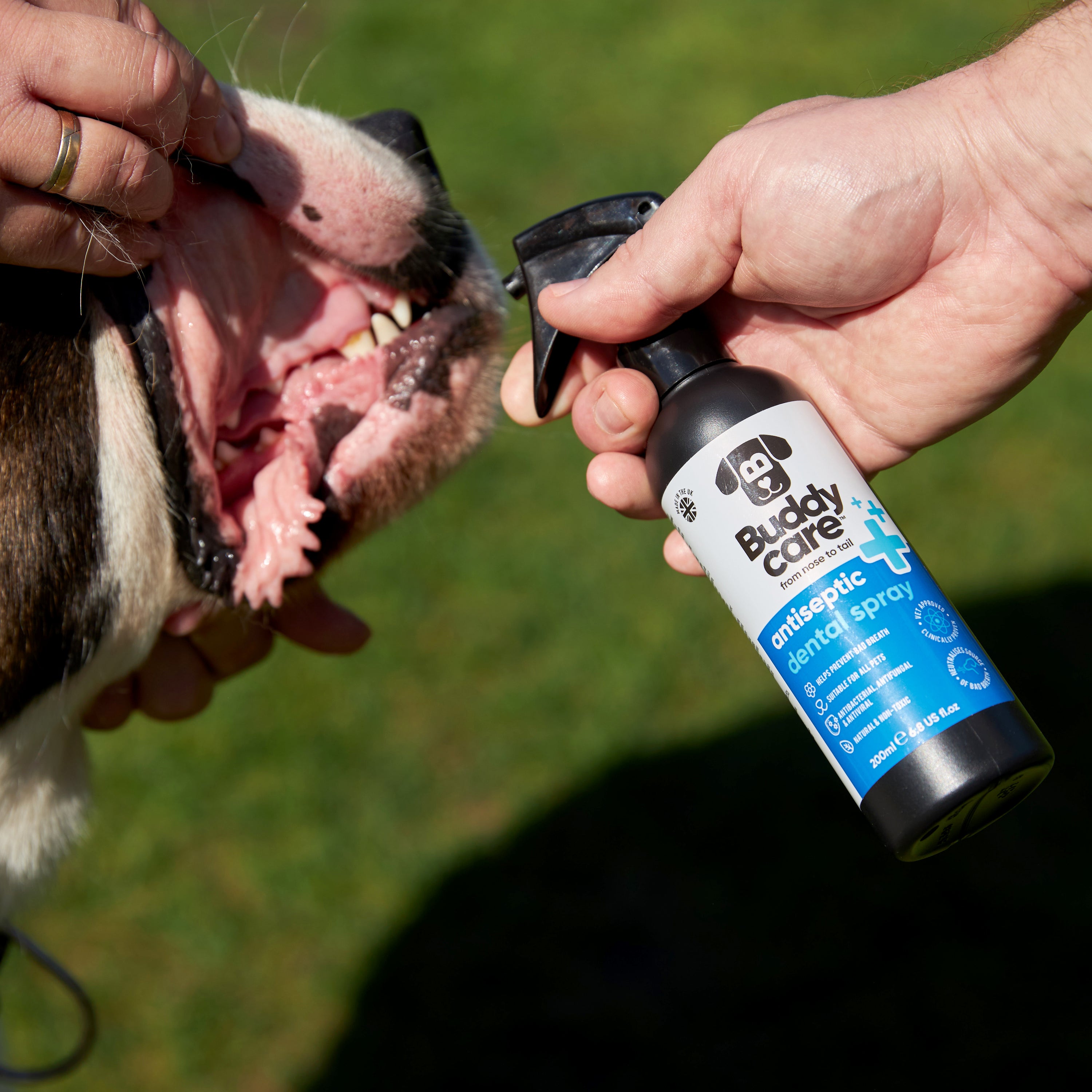 Pet Antiseptic Dental Spray by Buddycare