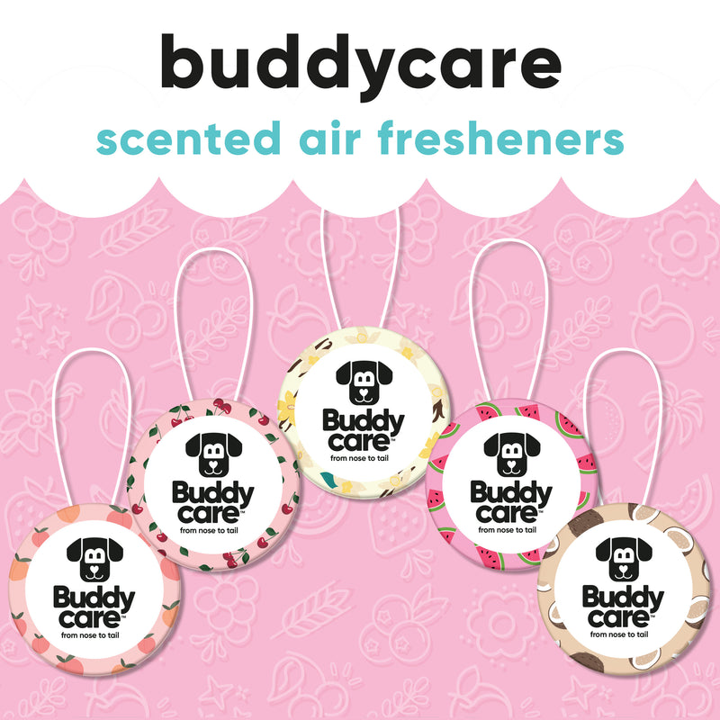 Car Air Freshener