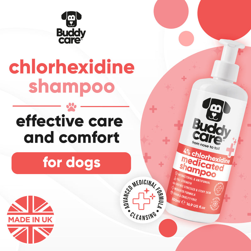Pet Antiseptic Chlorhexidine Medicated Shampoo