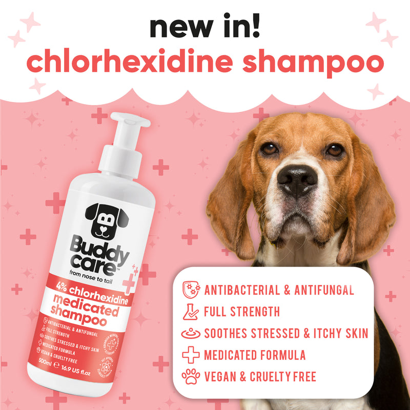 Pet Antiseptic Chlorhexidine Medicated Shampoo