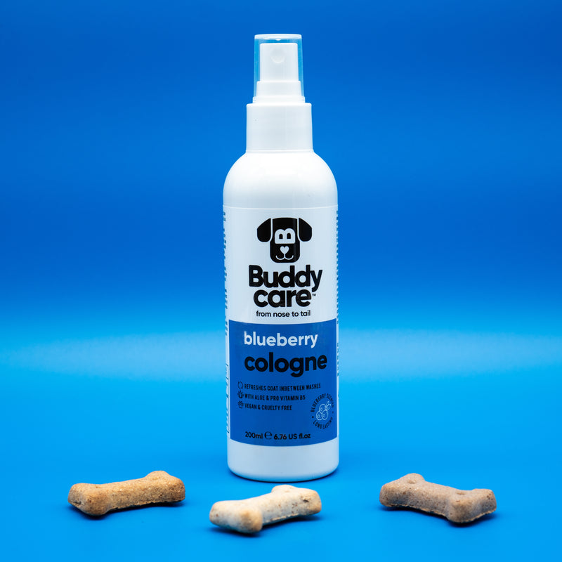 Blueberry Dog Cologne
